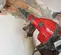 Marteau de démolition HILTI rouge et noir, 6,8 kg à 8,6 kg, électrique