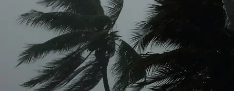 Hurricane